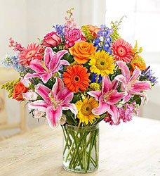 Garden Pathway Davenport Florist - Same Day Flower Delivery - Flower Power 